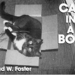 Cat in a Box by Brad W. Foster