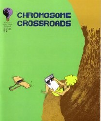 Chromosome Crossroads #1 by Karl Kressbach