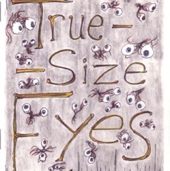 True Size Eyes by Christopher Davis