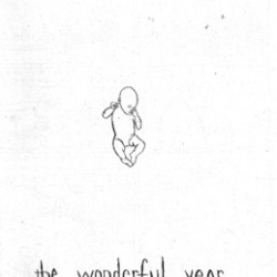 The Wonderful Year #5 by Rebecca Taylor
